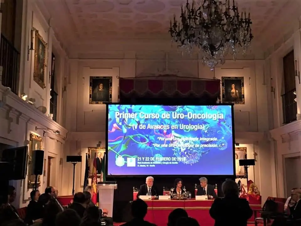 Sesión con proyección en pantalla y mesa presidencial en un salón histórico